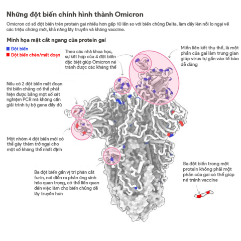 Các đột biến chính của biến chủng Omicron: Ảnh: Financial Times.